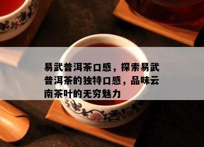 易武普洱茶口感，探索易武普洱茶的特别口感，品味云南茶叶的无穷魅力