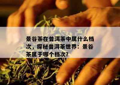 景谷茶在普洱茶中属什么档次，探秘普洱茶世界：景谷茶属于哪个档次？