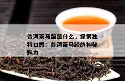 普洱茶马蹄是什么，探索特别口感：普洱茶马蹄的神秘魅力