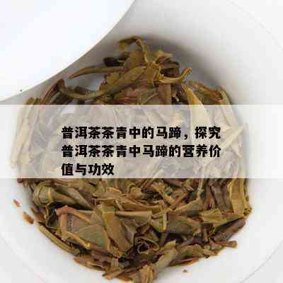 普洱茶茶青中的马蹄，探究普洱茶茶青中马蹄的营养价值与功效