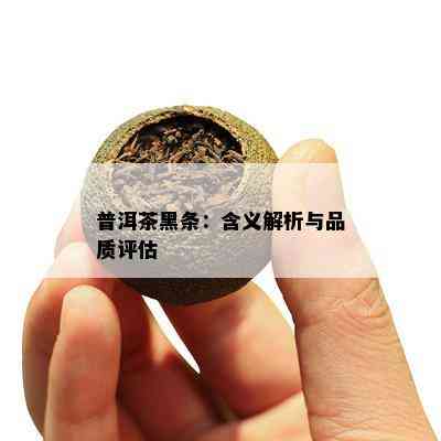 普洱茶黑条：含义解析与品质评估