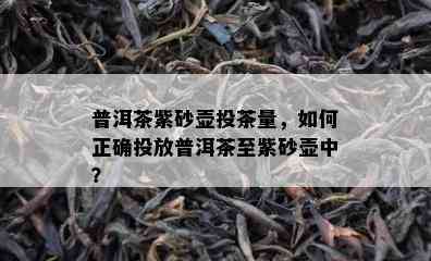 普洱茶紫砂壶投茶量，怎样正确投放普洱茶至紫砂壶中？