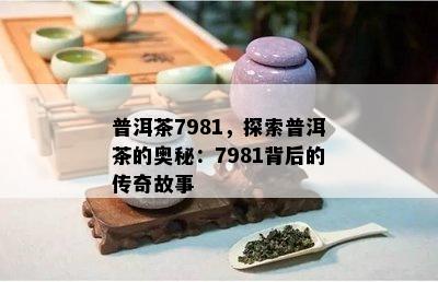 普洱茶7981，探索普洱茶的奥秘：7981背后的传奇故事