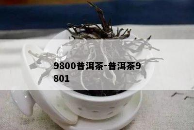 9800普洱茶-普洱茶9801