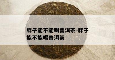 胖子能不能喝普洱茶-胖子能不能喝普洱茶