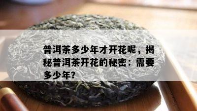 普洱茶多少年才开花呢，揭秘普洱茶开花的秘密：需要多少年？