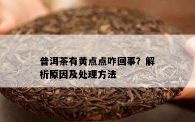 普洱茶有黄点点咋回事？解析起因及解决方法