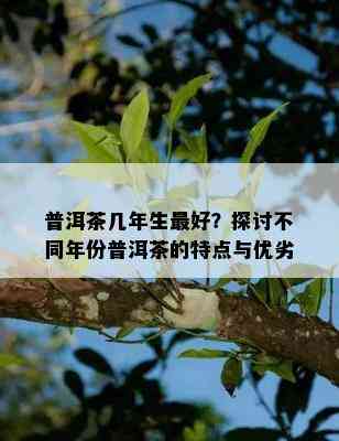 普洱茶几年生更好？探讨不同年份普洱茶的特点与优劣