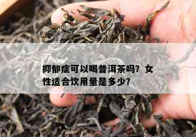 抑郁症可以喝普洱茶吗？女性适合饮用量是多少？