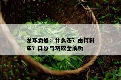 龙珠贡眉：什么茶？由何制成？口感与功效全解析