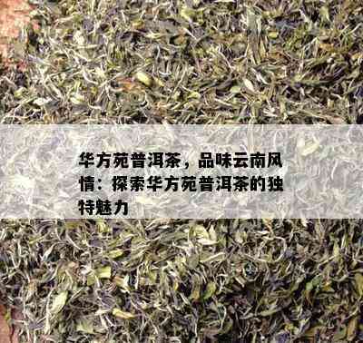 华方苑普洱茶，品味云南风情：探索华方苑普洱茶的特别魅力