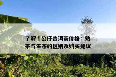 熟悉孖公仔普洱茶价格：熟茶与生茶的区别及购买建议