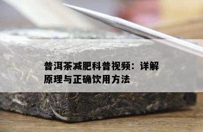 普洱茶减肥科普视频：详解原理与正确饮用方法