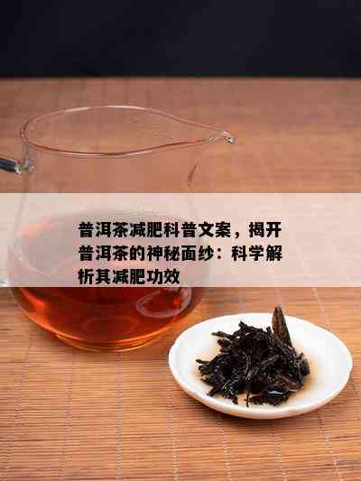 普洱茶减肥科普文案，揭开普洱茶的神秘面纱：科学解析其减肥功效