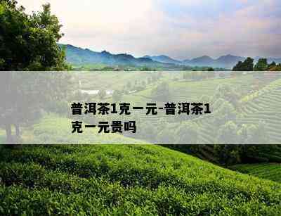 普洱茶1克一元-普洱茶1克一元贵吗