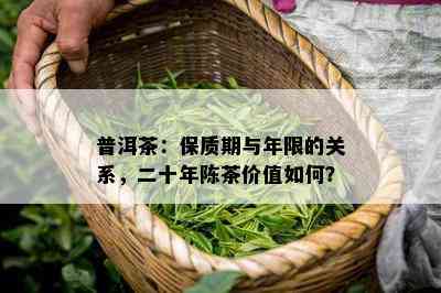 普洱茶：保质期与年限的关系，二十年陈茶价值怎样？