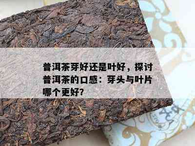 普洱茶芽好还是叶好，探讨普洱茶的口感：芽头与叶片哪个更好？