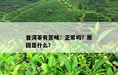 普洱茶有苦味：正常吗？原因是什么？