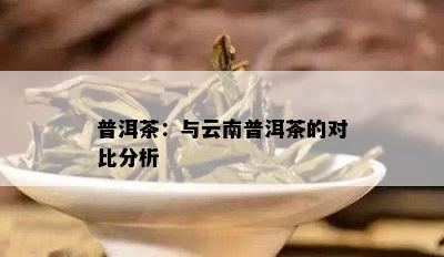 普洱茶：与云南普洱茶的对比分析