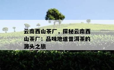 云南西山茶厂，探秘云南西山茶厂：品味地道普洱茶的源头之旅