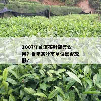 2007年普洱茶叶能否饮用？当年茶叶节单位是否放假？