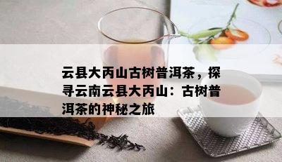 云县大丙山古树普洱茶，探寻云南云县大丙山：古树普洱茶的神秘之旅