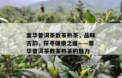 棠华普洱茶散茶熟茶，品味古韵，探寻健康之道——棠华普洱茶散茶熟茶的魅力