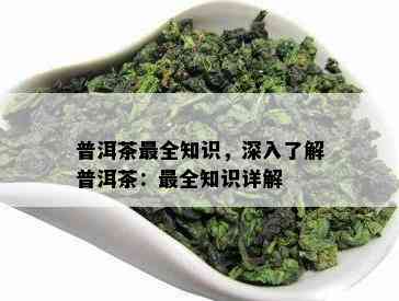 普洱茶最全知识，深入熟悉普洱茶：最全知识详解