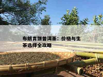 布朗青饼普洱茶：价格与生茶选择全攻略