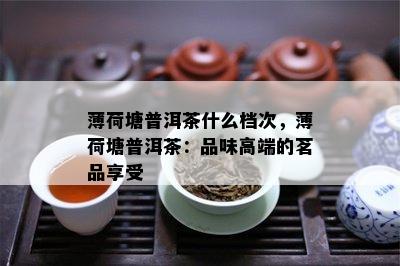 薄荷塘普洱茶什么档次，薄荷塘普洱茶：品味高端的茗品享受