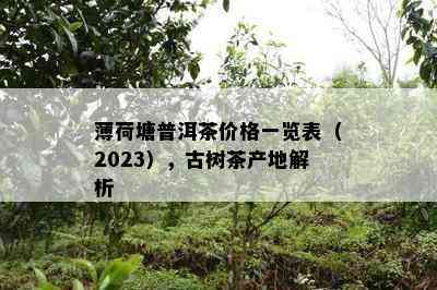 薄荷塘普洱茶价格一览表（2023），古树茶产地解析