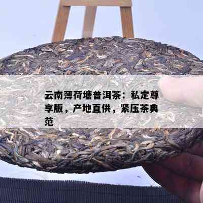 云南薄荷塘普洱茶：私定尊享版，产地直供，紧压茶典范