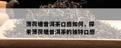 薄荷塘普洱茶口感怎样，探索薄荷塘普洱茶的特别口感