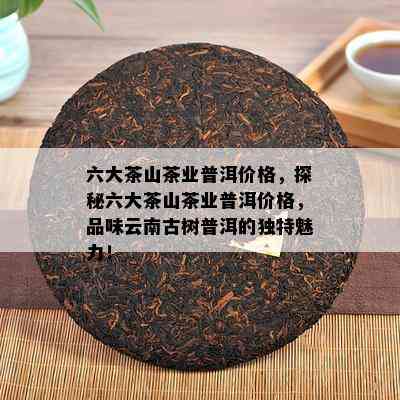 六大茶山茶业普洱价格，探秘六大茶山茶业普洱价格，品味云南古树普洱的独特魅力！