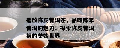 播放陈皮普洱茶，品味陈年普洱的魅力：探索陈皮普洱茶的美妙世界