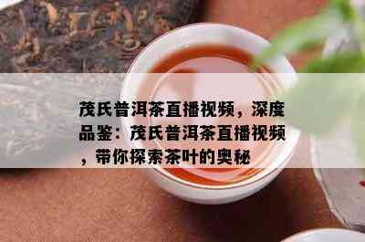 茂氏普洱茶直播视频，深度品鉴：茂氏普洱茶直播视频，带你探索茶叶的奥秘