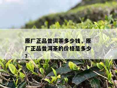 原厂正品普洱茶多少钱，原厂正品普洱茶的价格是多少？