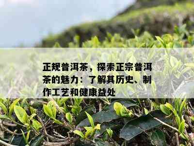 正规普洱茶，探索正宗普洱茶的魅力：熟悉其历史、制作工艺和健康益处