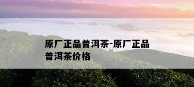 原厂正品普洱茶-原厂正品普洱茶价格