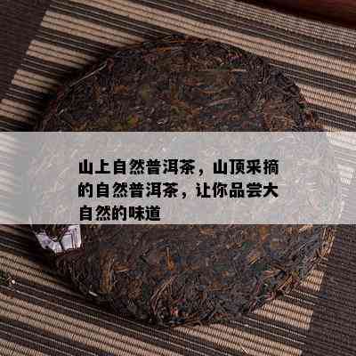 山上自然普洱茶，山顶采摘的自然普洱茶，让你品尝大自然的味道