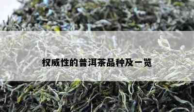 权威性的普洱茶品种及一览