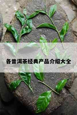 各普洱茶经典产品介绍大全