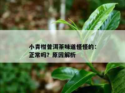 小青柑普洱茶味道怪怪的：正常吗？原因解析