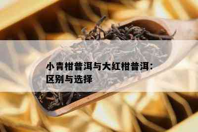 小青柑普洱与大红柑普洱：区别与选择