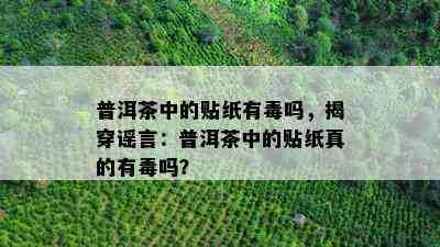 普洱茶中的贴纸有吗，揭穿谣言：普洱茶中的贴纸真的有吗？