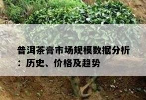 普洱茶膏市场规模数据分析：历史、价格及趋势