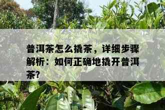 普洱茶怎么撬茶，详细步骤解析：怎样正确地撬开普洱茶？