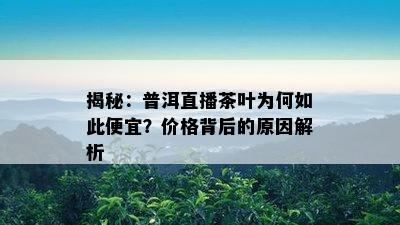 揭秘：普洱直播茶叶为何如此便宜？价格背后的起因解析