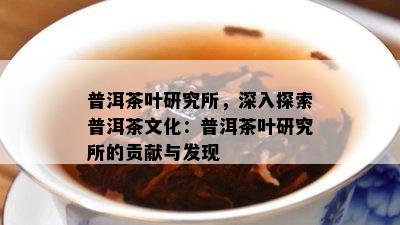 普洱茶叶研究所，深入探索普洱茶文化：普洱茶叶研究所的贡献与发现