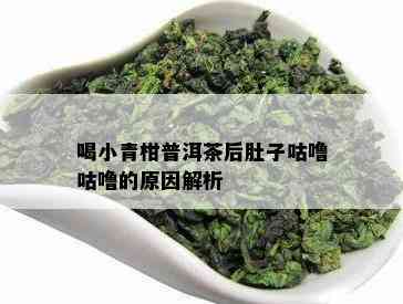 喝小青柑普洱茶后肚子咕噜咕噜的原因解析